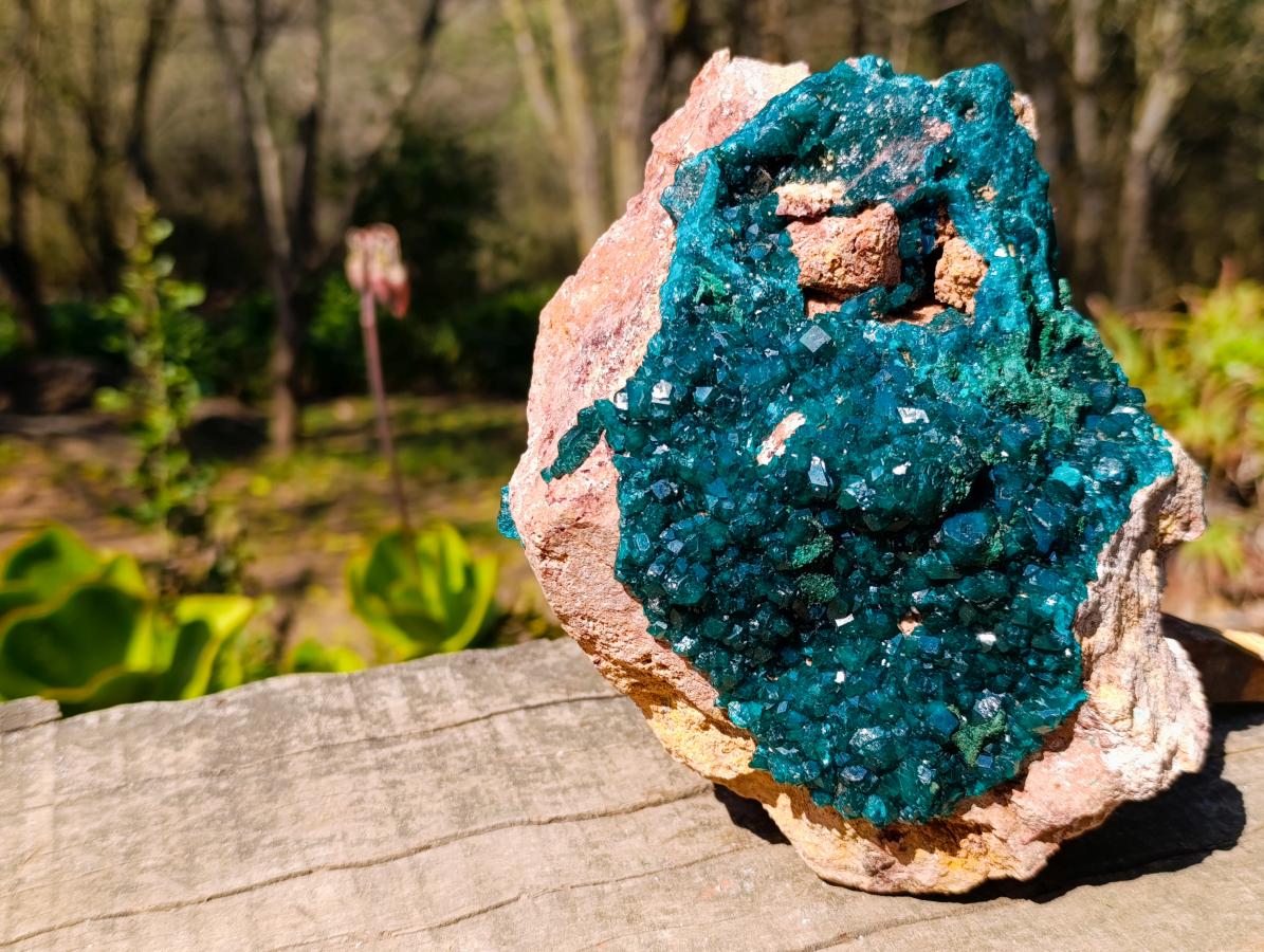Natural Gorgeous Large Dioptase Specimen on a Dolomite Matrix x 1 From Mashamba East, Congo