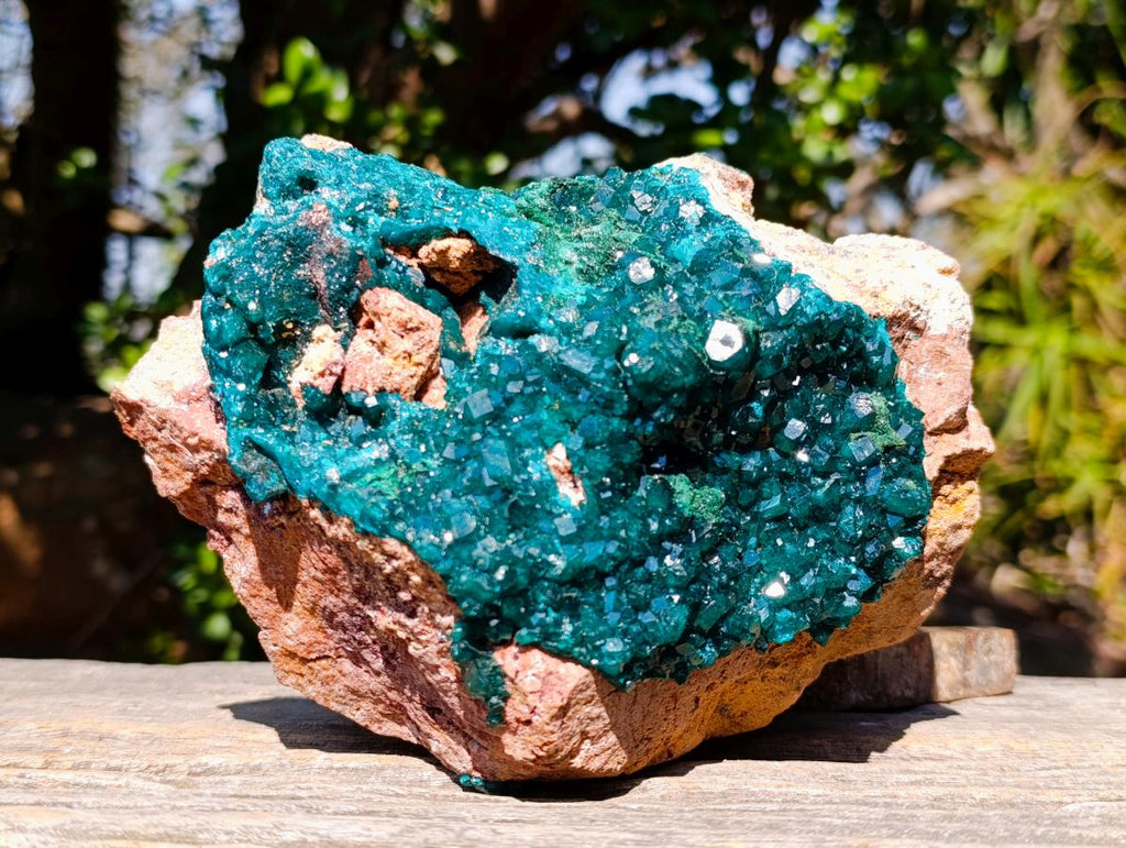 Natural Gorgeous Large Dioptase Specimen on a Dolomite Matrix x 1 From Mashamba East, Congo