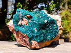 Natural Gorgeous Large Dioptase Specimen on a Dolomite Matrix x 1 From Mashamba East, Congo