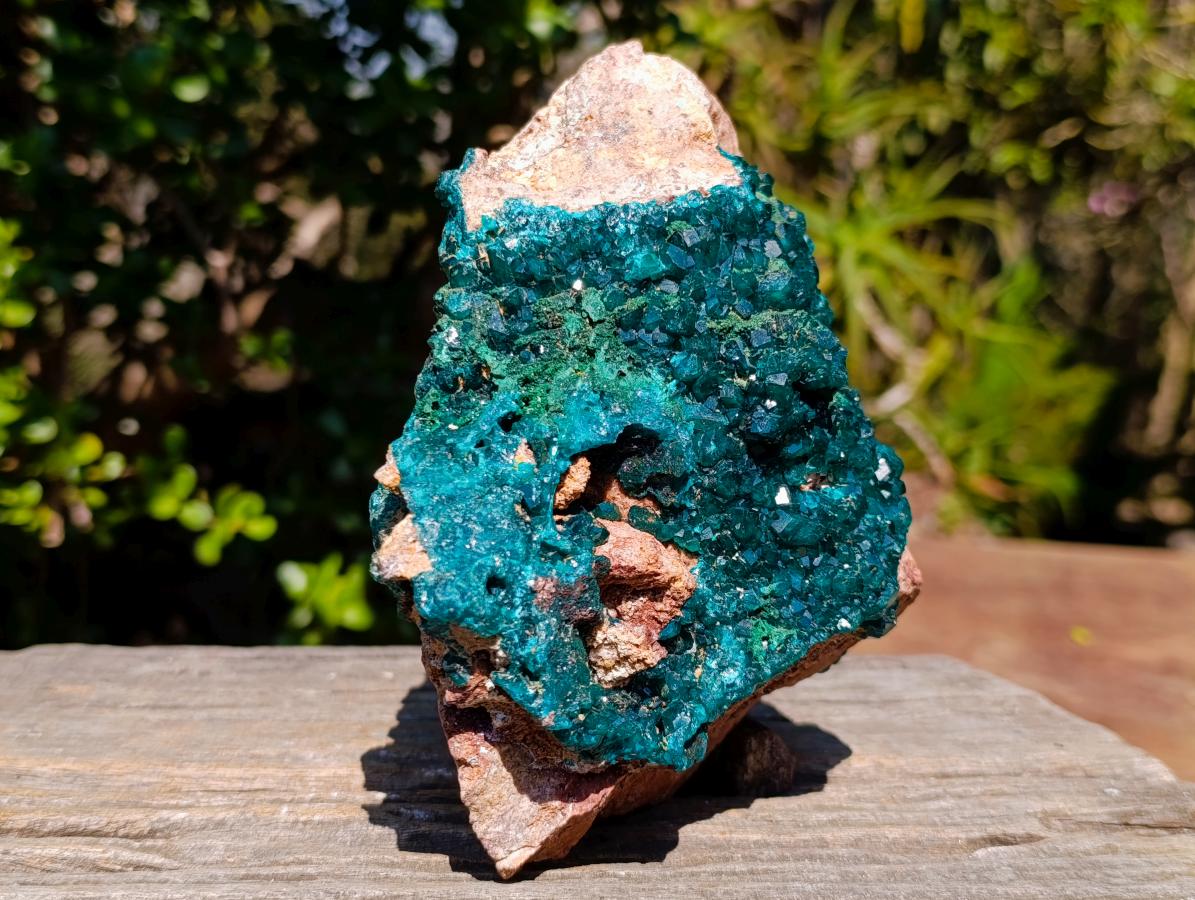 Natural Gorgeous Large Dioptase Specimen on a Dolomite Matrix x 1 From Mashamba East, Congo