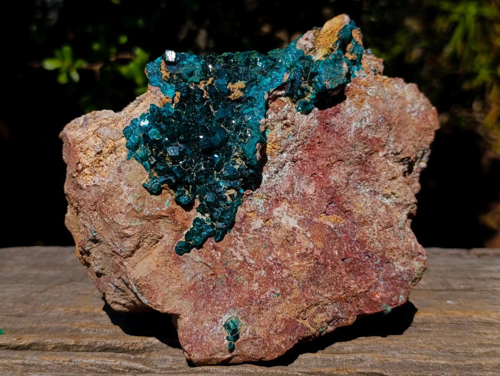 Natural Gorgeous Large Dioptase Specimen on a Dolomite Matrix x 1 From Mashamba East, Congo