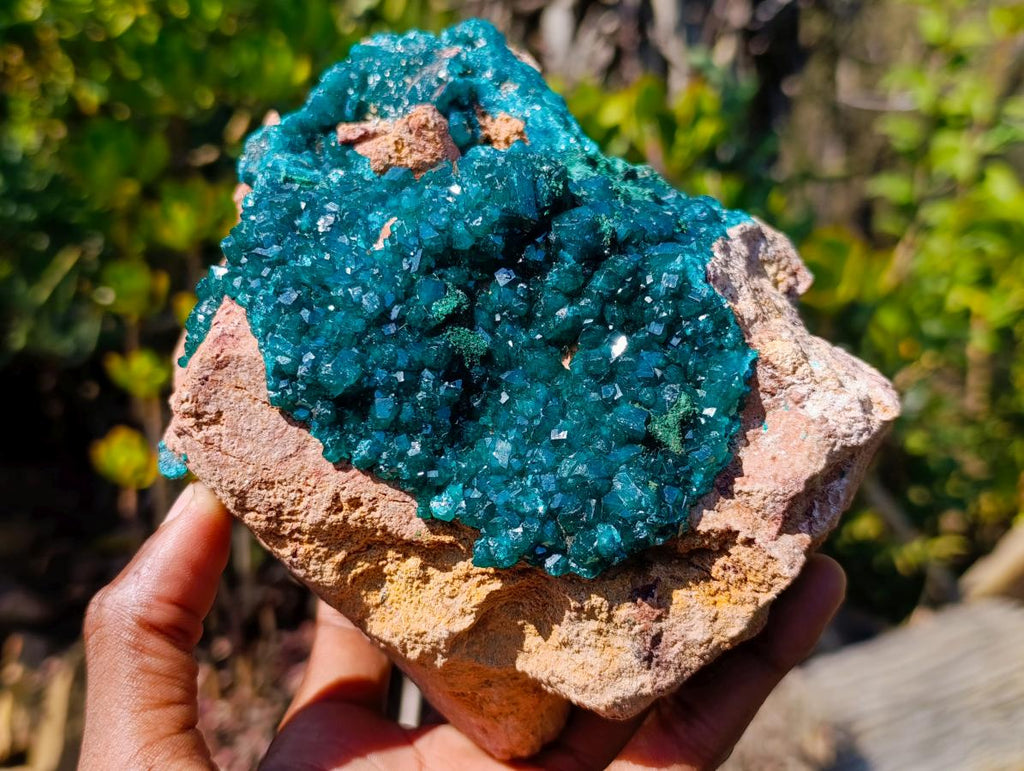 Natural Gorgeous Large Dioptase Specimen on a Dolomite Matrix x 1 From Mashamba East, Congo