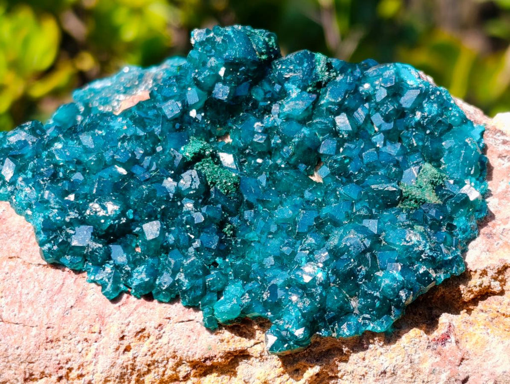 Natural Gorgeous Large Dioptase Specimen on a Dolomite Matrix x 1 From Mashamba East, Congo