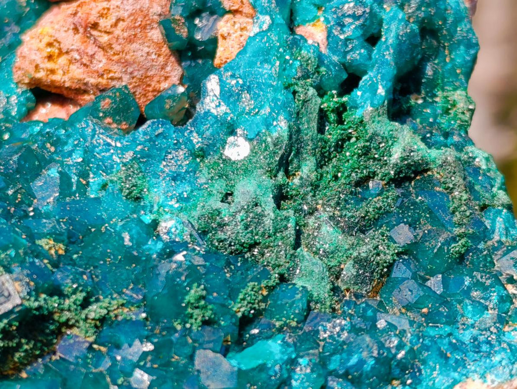 Natural Gorgeous Large Dioptase Specimen on a Dolomite Matrix x 1 From Mashamba East, Congo
