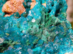 Natural Gorgeous Large Dioptase Specimen on a Dolomite Matrix x 1 From Mashamba East, Congo