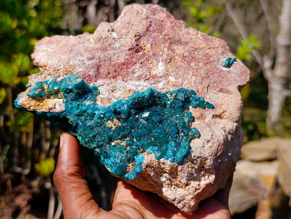 Natural Gorgeous Large Dioptase Specimen on a Dolomite Matrix x 1 From Mashamba East, Congo