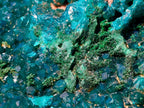 Natural Gorgeous Large Dioptase Specimen on a Dolomite Matrix x 1 From Mashamba East, Congo