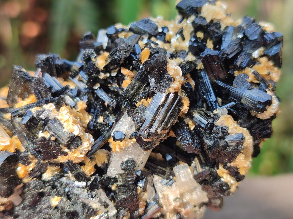 Natural Goshenite Clear Beryl Crystals in Schorl and Muscovite x 1 From Namibia