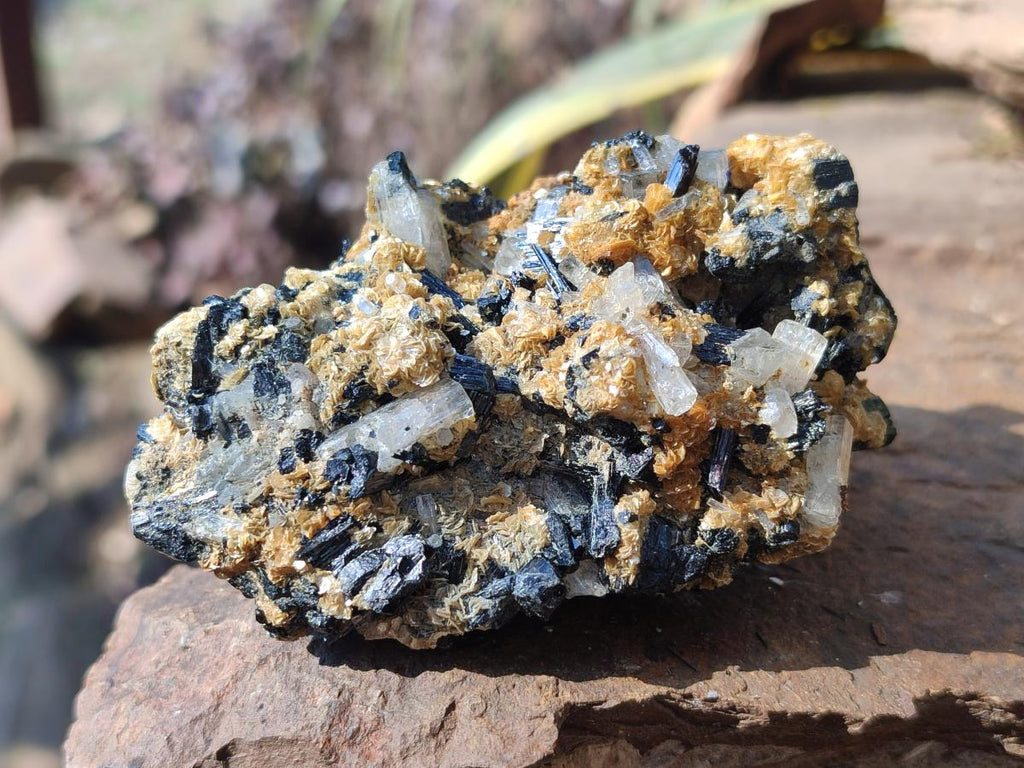 Natural Goshenite Clear Beryl Crystals in Schorl and Muscovite x 1 From Namibia