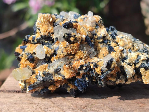 Natural Goshenite Clear Beryl Crystals in Schorl and Muscovite x 1 From Namibia