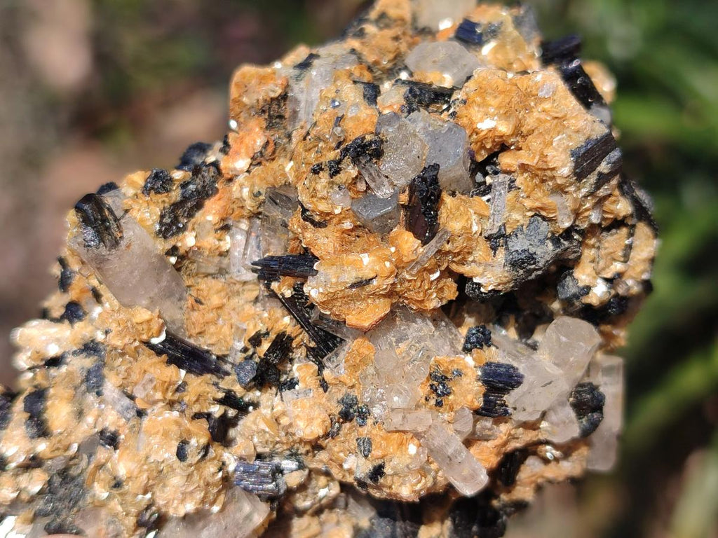 Natural Goshenite Clear Beryl Crystals in Schorl and Muscovite x 1 From Namibia