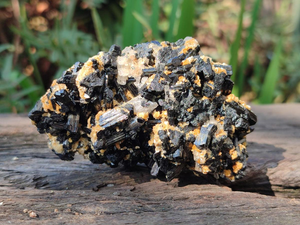 Natural Goshenite Clear Beryl Crystals in Schorl and Muscovite x 1 From Namibia
