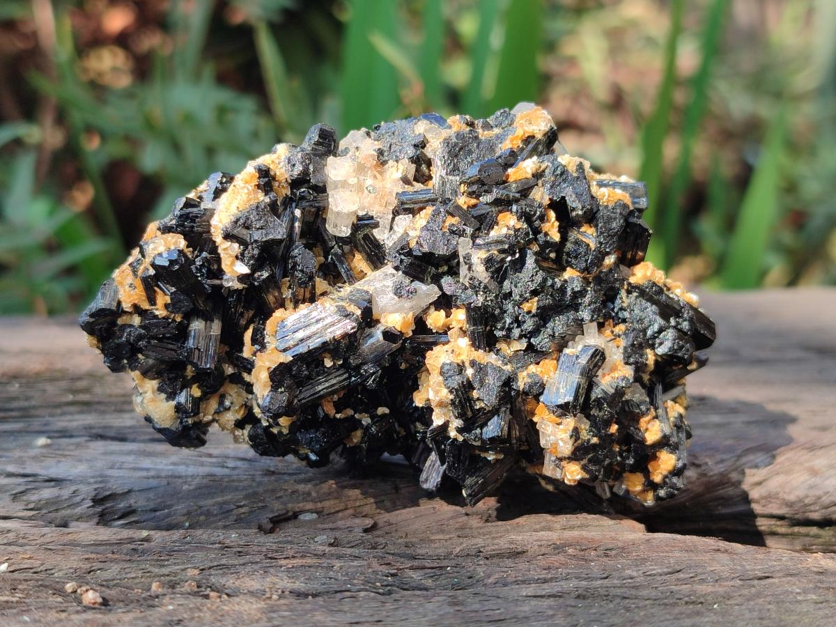 Natural Goshenite Clear Beryl Crystals in Schorl and Muscovite x 1 From Namibia