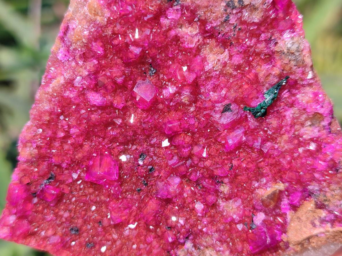 Natural Bright Pink Salrose Cobaltoan Dolomite Specimen with Crystalline Malachite x 1 From Kakanda, Congo