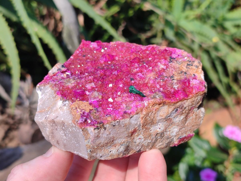 Natural Bright Pink Salrose Cobaltoan Dolomite Specimen with Crystalline Malachite x 1 From Kakanda, Congo