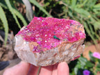 Natural Bright Pink Salrose Cobaltoan Dolomite Specimen with Crystalline Malachite x 1 From Kakanda, Congo