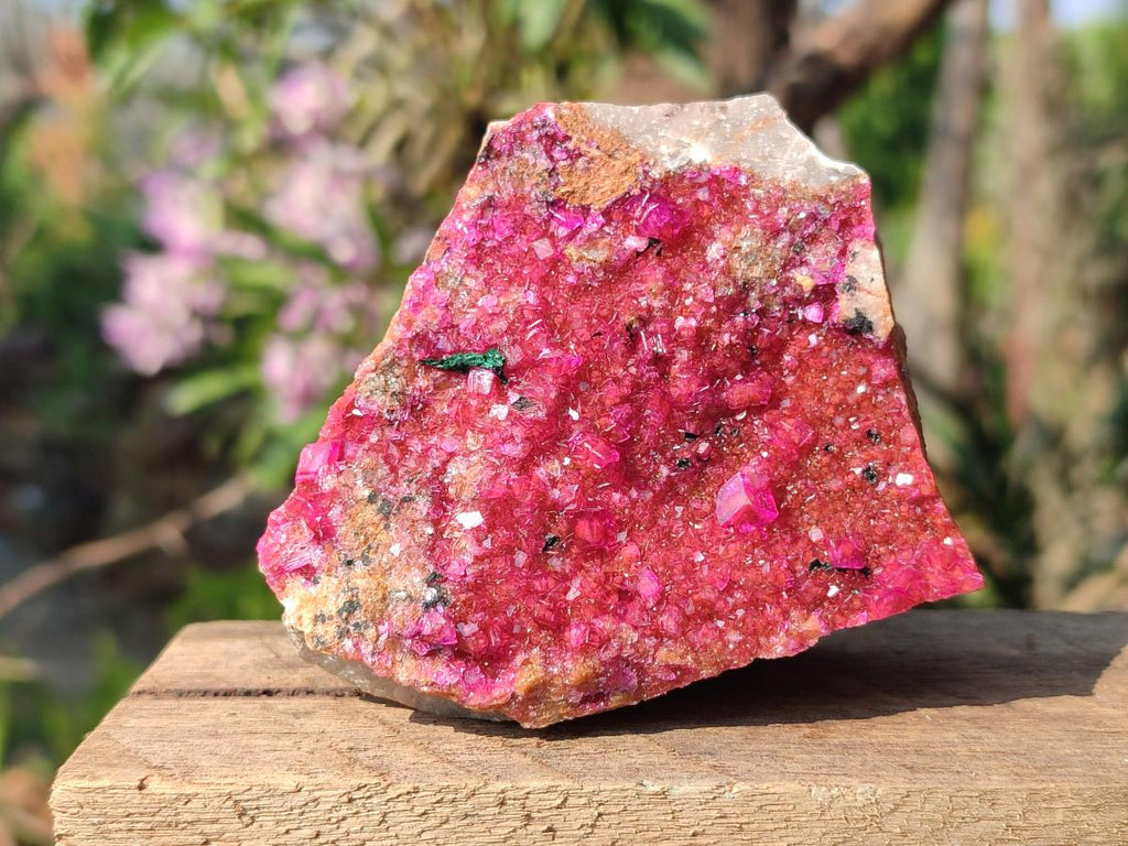 Natural Bright Pink Salrose Cobaltoan Dolomite Specimen with Crystalline Malachite x 1 From Kakanda, Congo