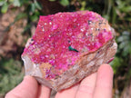 Natural Bright Pink Salrose Cobaltoan Dolomite Specimen with Crystalline Malachite x 1 From Kakanda, Congo