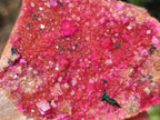 Natural Bright Pink Salrose Cobaltoan Dolomite Specimen with Crystalline Malachite x 1 From Kakanda, Congo