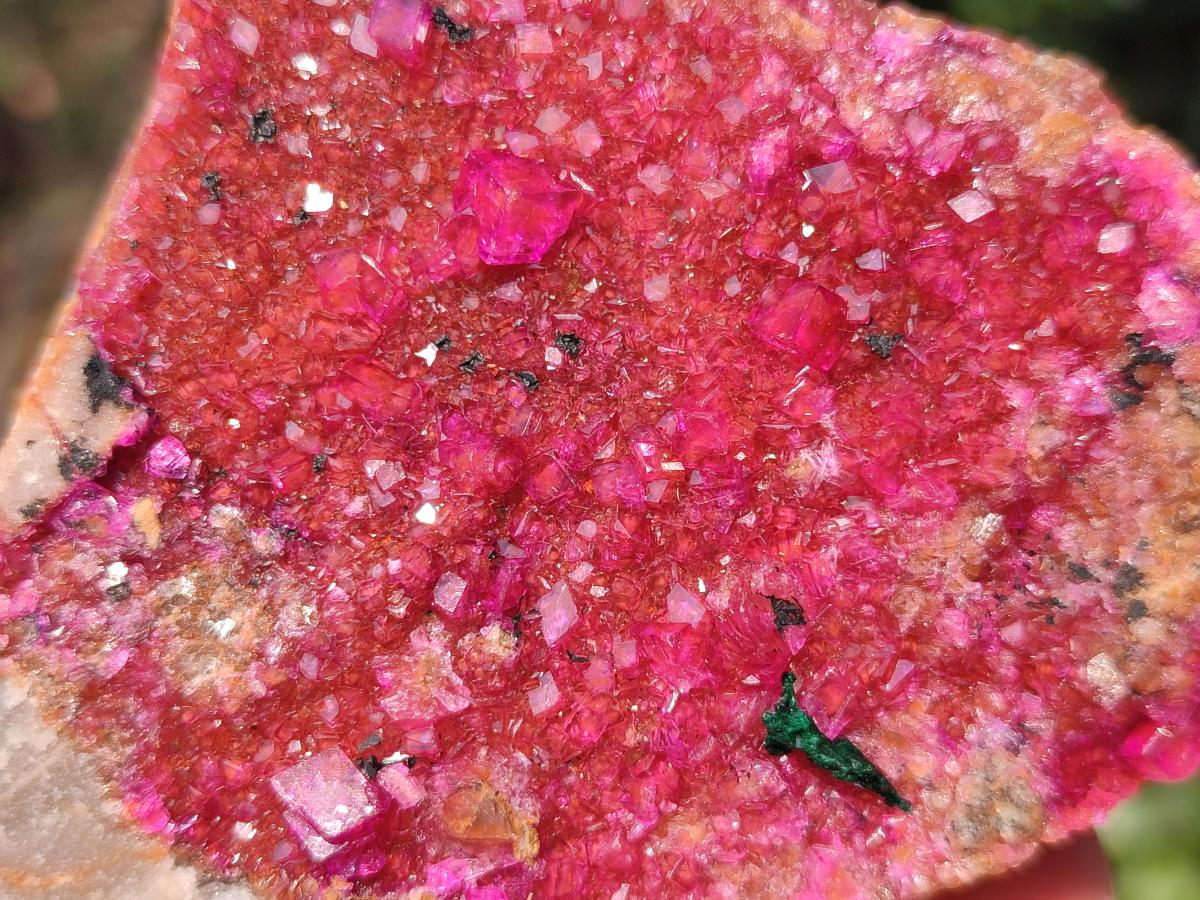 Natural Bright Pink Salrose Cobaltoan Dolomite Specimen with Crystalline Malachite x 1 From Kakanda, Congo