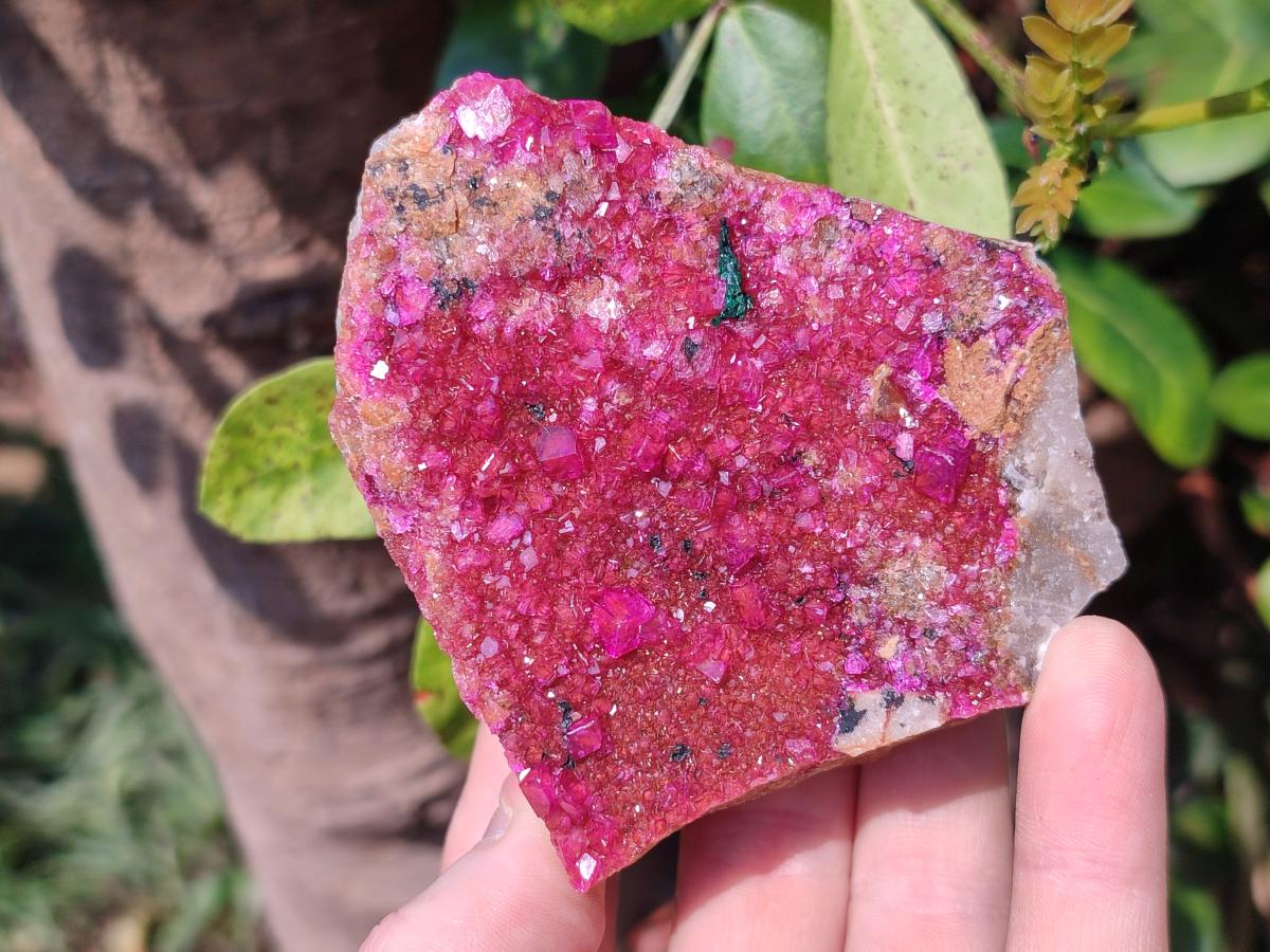 Natural Bright Pink Salrose Cobaltoan Dolomite Specimen with Crystalline Malachite x 1 From Kakanda, Congo