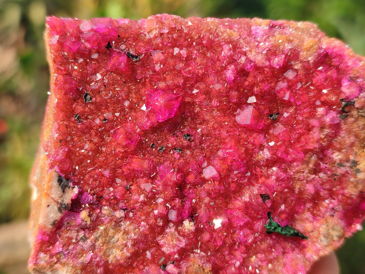 Natural Bright Pink Salrose Cobaltoan Dolomite Specimen with Crystalline Malachite x 1 From Kakanda, Congo