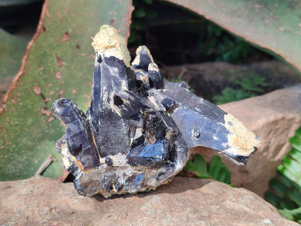 Natural Morion Smokey Quartz Cluster with Hyalite Opal and Black Tourmaline x 1 From Erongo, Namibia