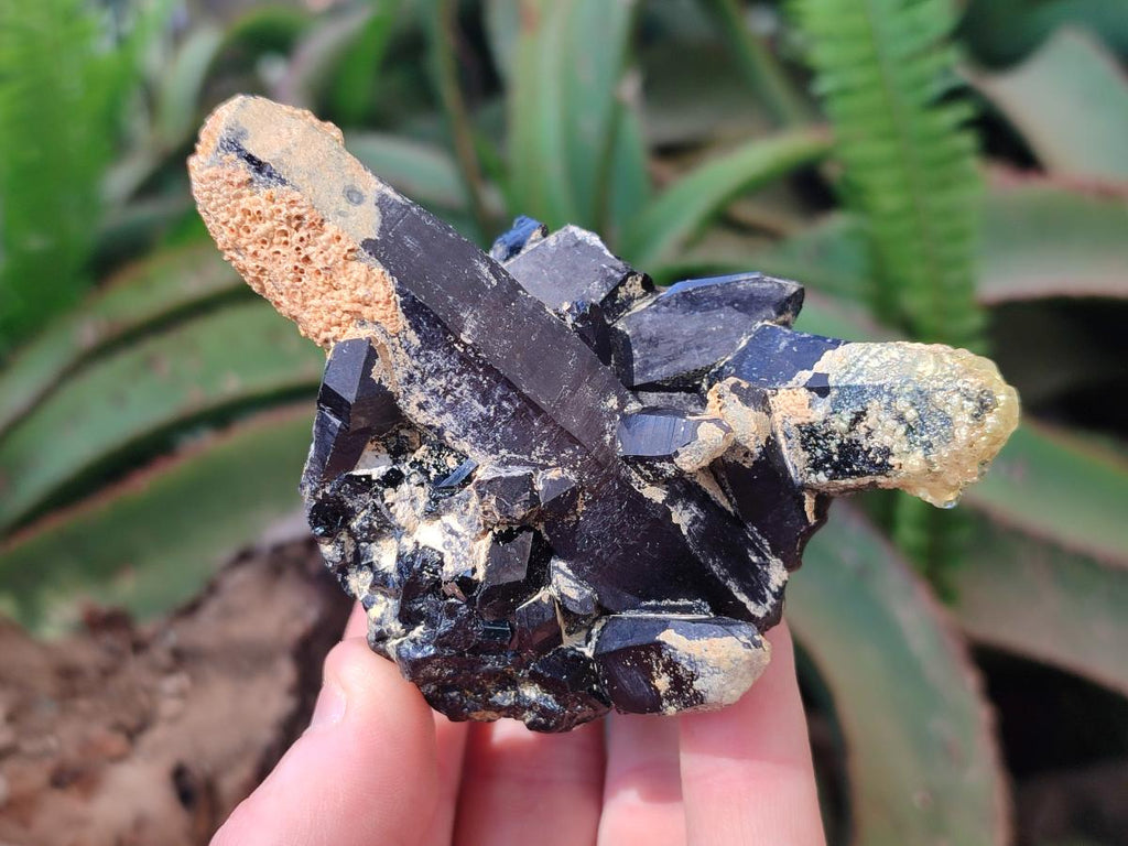 Natural Morion Smokey Quartz Cluster with Hyalite Opal and Black Tourmaline x 1 From Erongo, Namibia