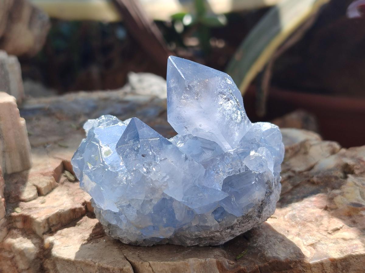 Natural Small Celestite Cluster Specimen x 1 From Sakoany Madagascar