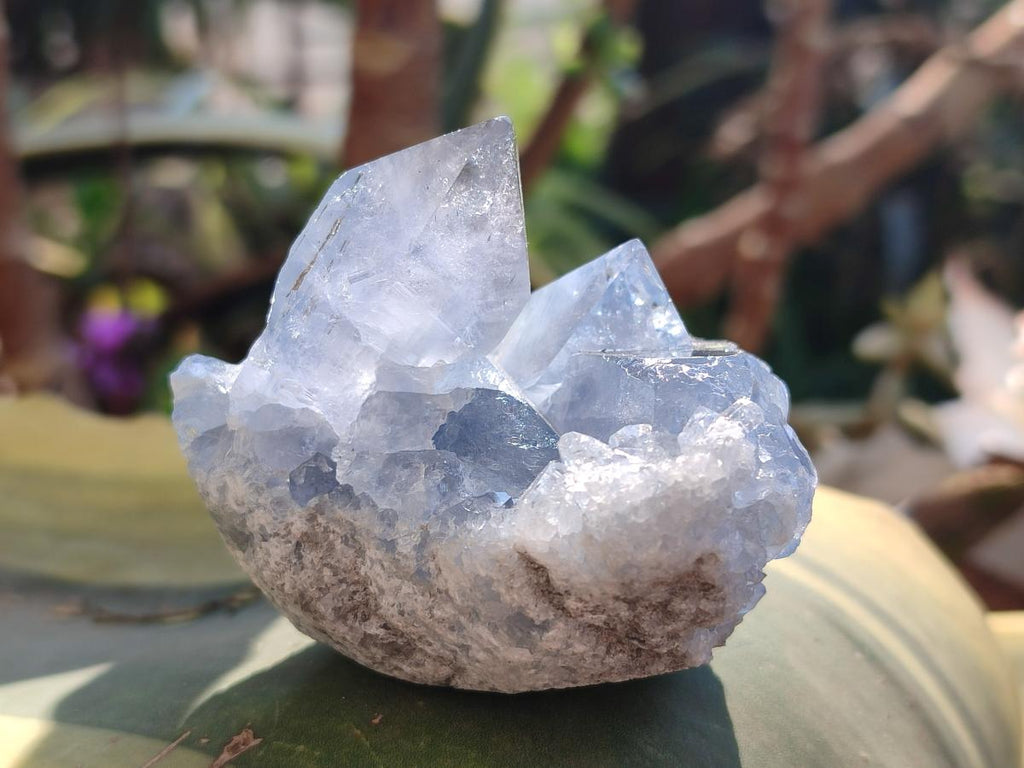 Natural Small Celestite Cluster Specimen x 1 From Sakoany Madagascar