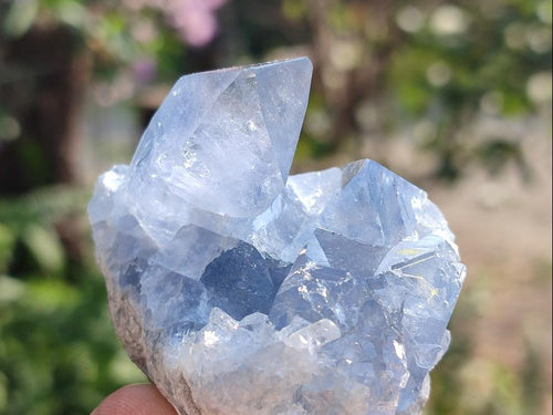 Natural Small Celestite Cluster Specimen x 1 From Sakoany Madagascar