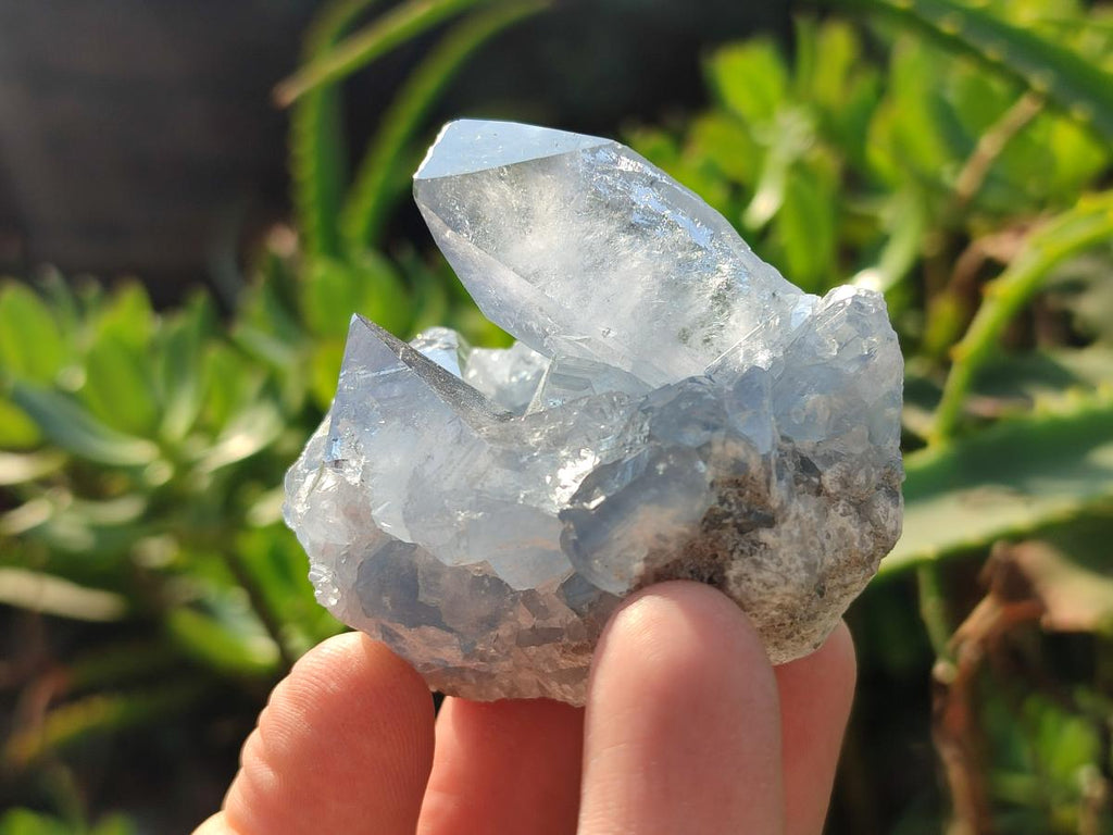 Natural Small Celestite Cluster Specimen x 1 From Sakoany Madagascar