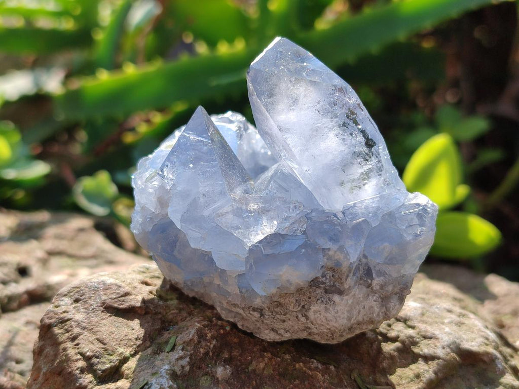 Natural Small Celestite Cluster Specimen x 1 From Sakoany Madagascar