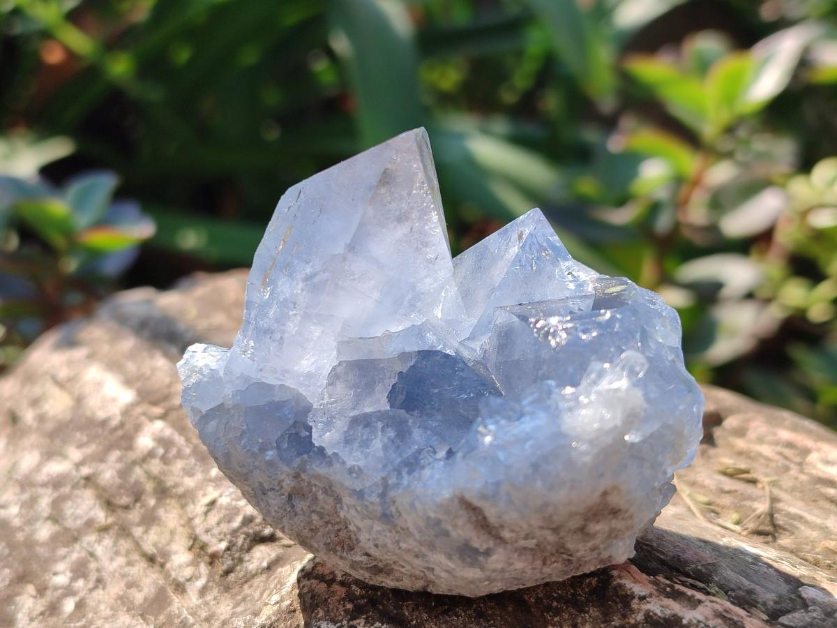 Natural Small Celestite Cluster Specimen x 1 From Sakoany Madagascar