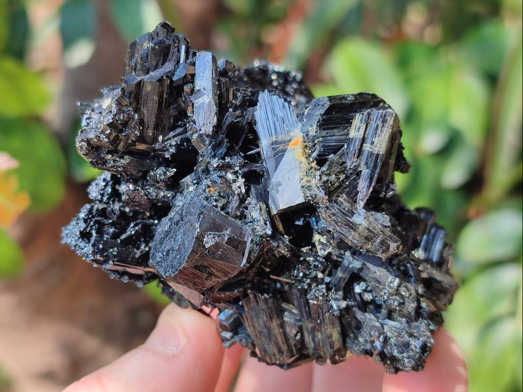 Natural Multi Terminated Schorl Black Tourmaline Striated Floater Formation x 1 From Erongo, Namibia