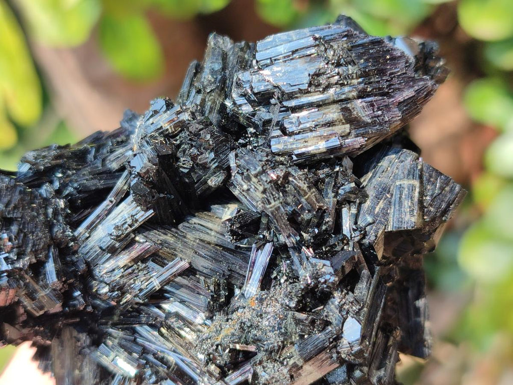 Natural Multi Terminated Schorl Black Tourmaline Striated Floater Formation x 1 From Erongo, Namibia