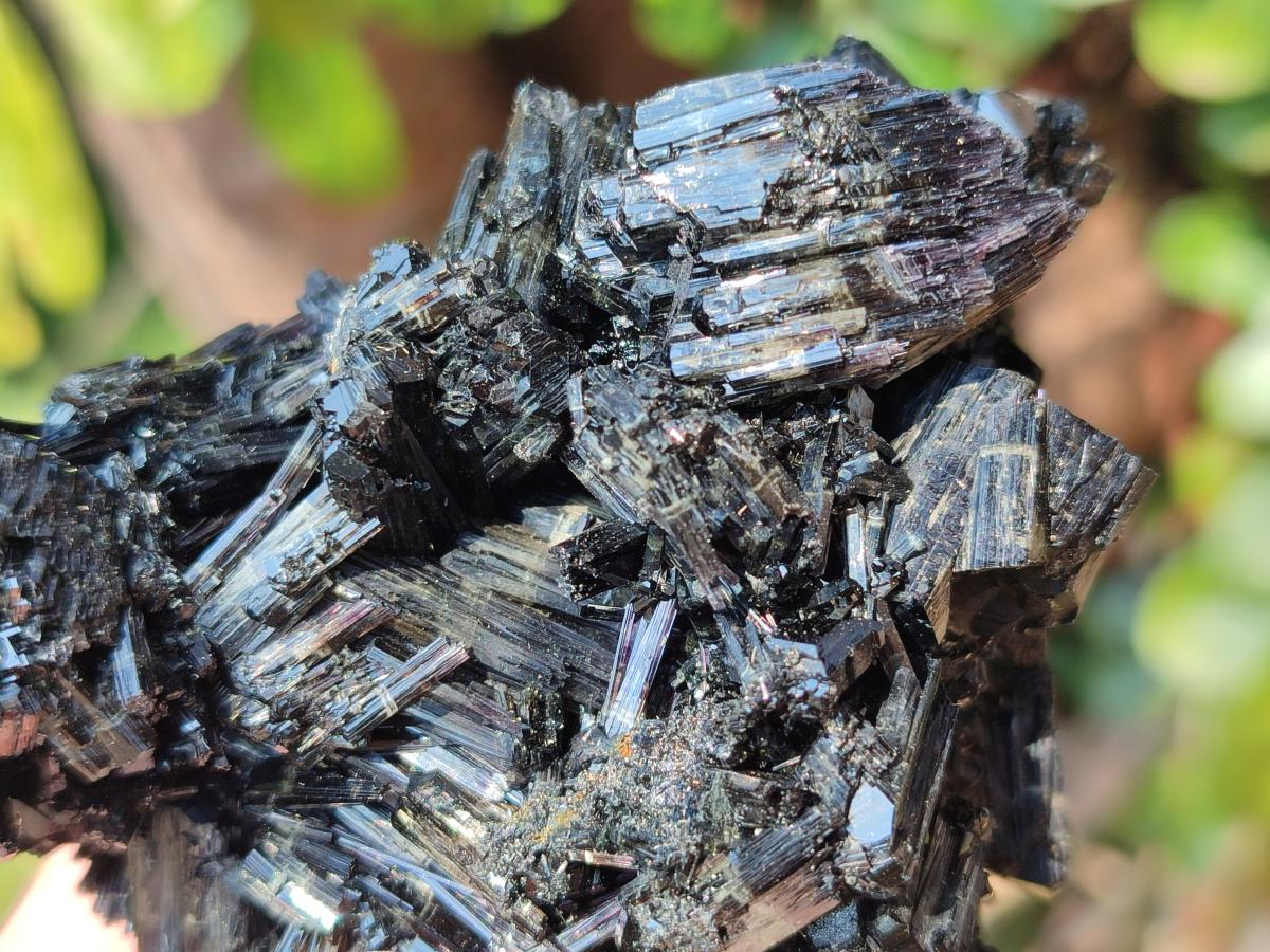 Natural Multi Terminated Schorl Black Tourmaline Striated Floater Formation x 1 From Erongo, Namibia