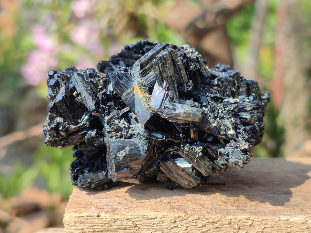 Natural Multi Terminated Schorl Black Tourmaline Striated Floater Formation x 1 From Erongo, Namibia