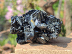 Natural Multi Terminated Schorl Black Tourmaline Striated Floater Formation x 1 From Erongo, Namibia