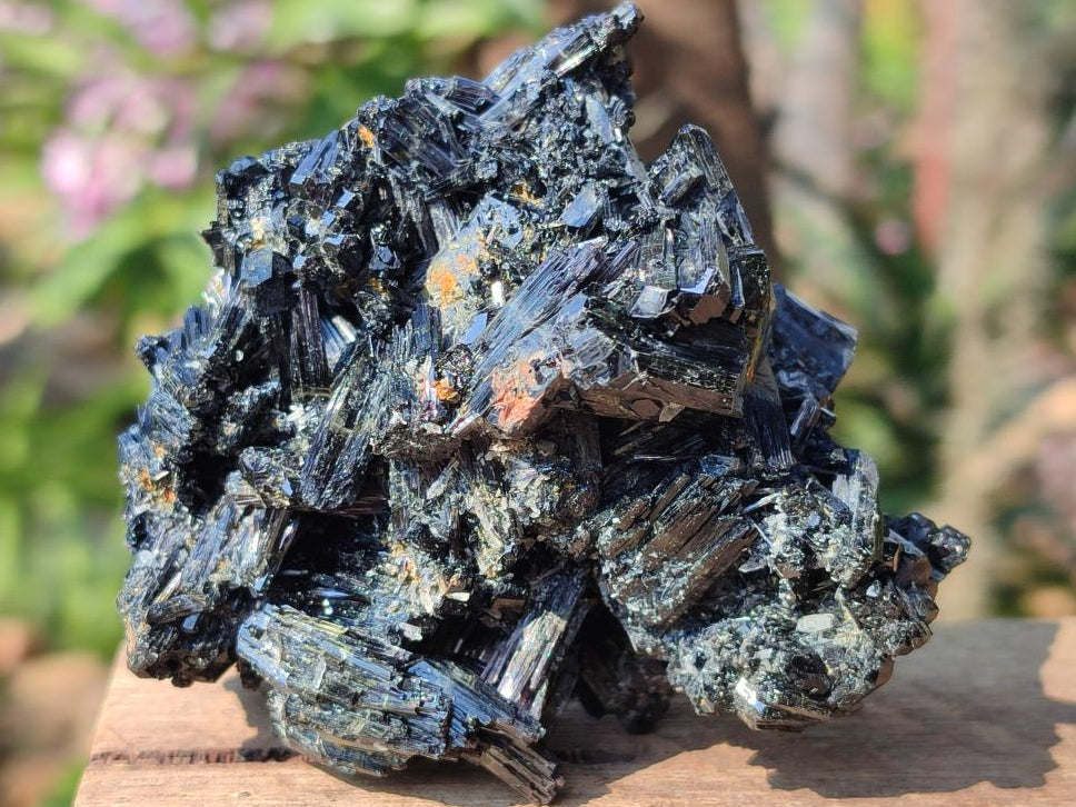 Natural Multi Terminated Schorl Black Tourmaline Striated Floater Formation x 1 From Erongo, Namibia