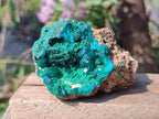 Natural Emerald Dioptase and Fibrous Malachite Specimen x 1 From Mashamba East, Congo