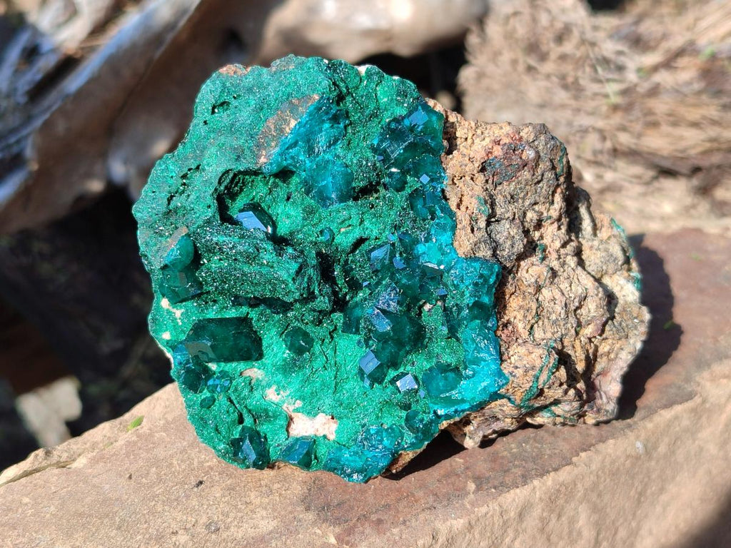 Natural Emerald Dioptase and Fibrous Malachite Specimen x 1 From Mashamba East, Congo