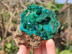 Natural Emerald Dioptase and Fibrous Malachite Specimen x 1 From Mashamba East, Congo