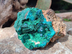 Natural Emerald Dioptase and Fibrous Malachite Specimen x 1 From Mashamba East, Congo