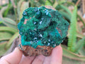 Natural Emerald Dioptase and Fibrous Malachite Specimen x 1 From Mashamba East, Congo