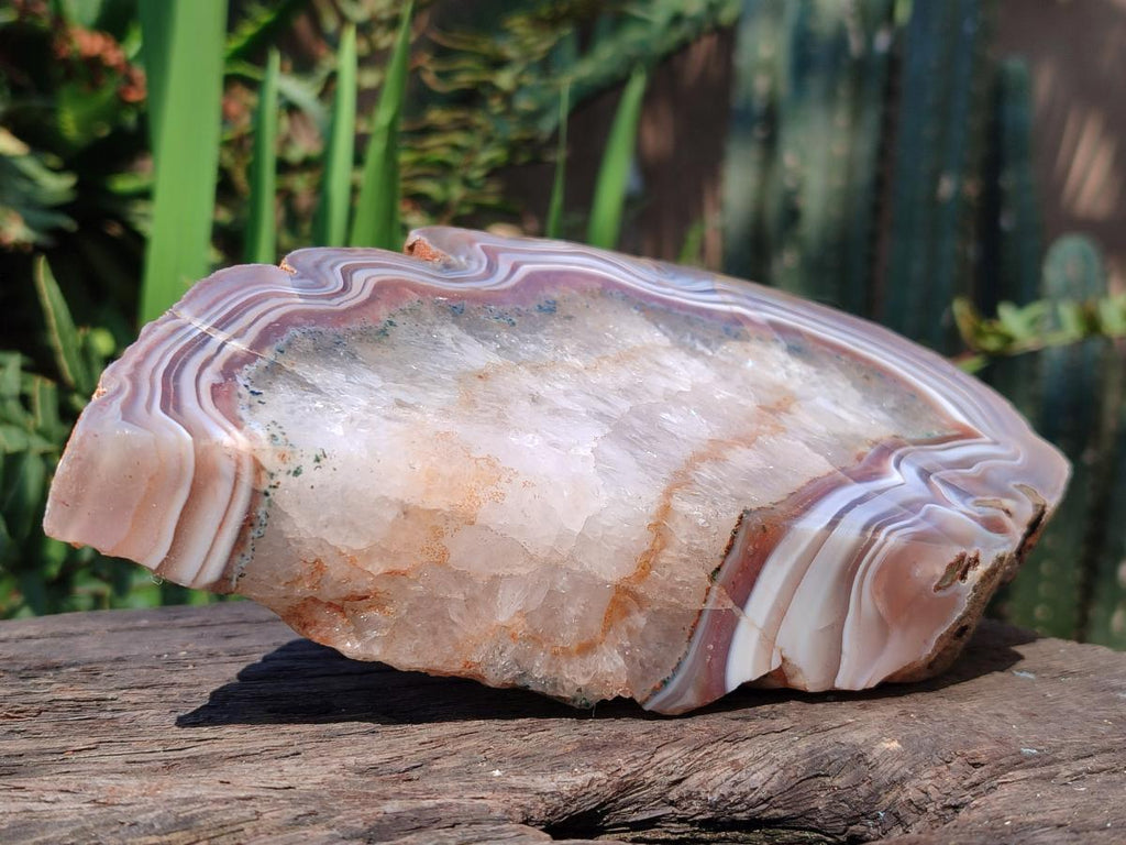 Polished One Side Pair of Red Shashe River Agate Slices with Matching Concentric Ring Patterns x 1 From Shashe River, Zimbabwe