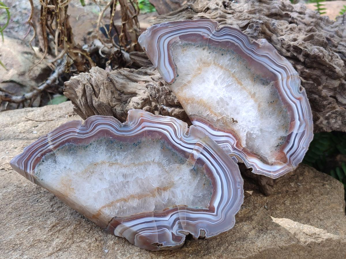 Polished One Side Pair of Red Shashe River Agate Slices with Matching Concentric Ring Patterns x 1 From Shashe River, Zimbabwe