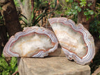 Polished One Side Pair of Red Shashe River Agate Slices with Matching Concentric Ring Patterns x 1 From Shashe River, Zimbabwe
