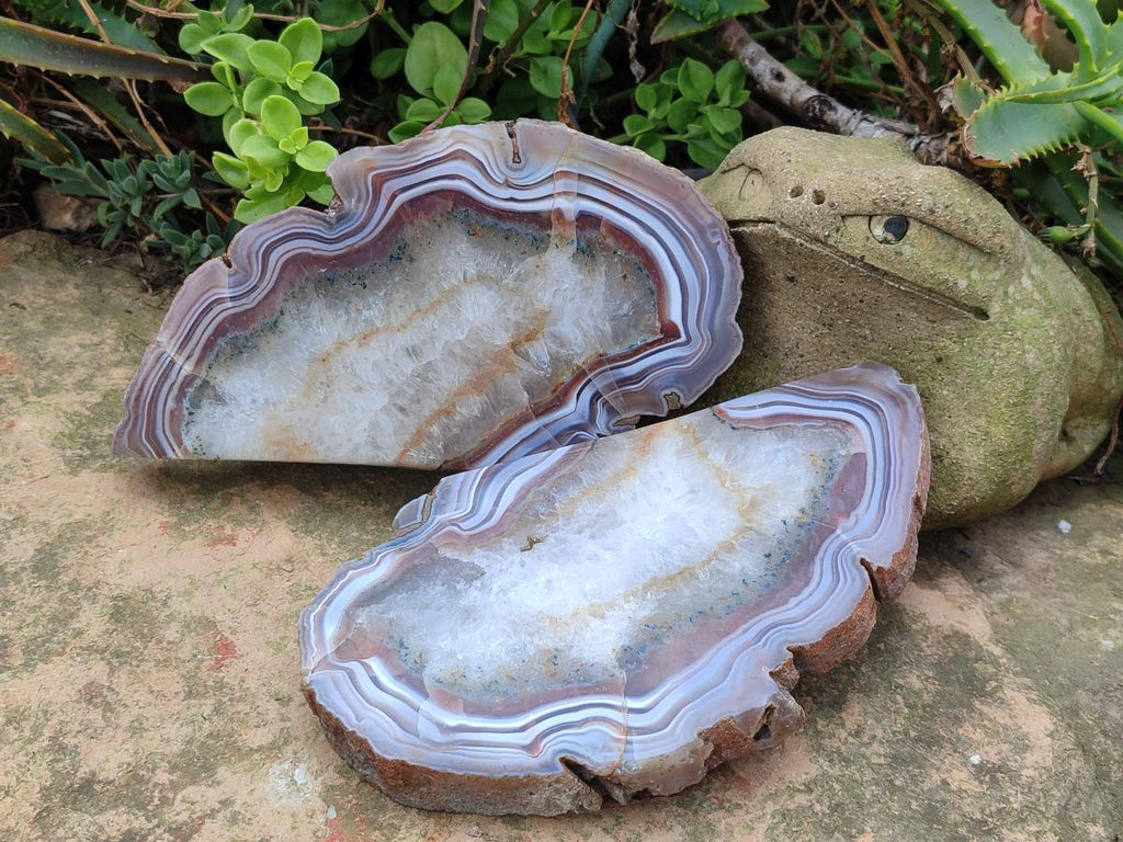 Polished One Side Pair of Red Shashe River Agate Slices with Matching Concentric Ring Patterns x 1 From Shashe River, Zimbabwe