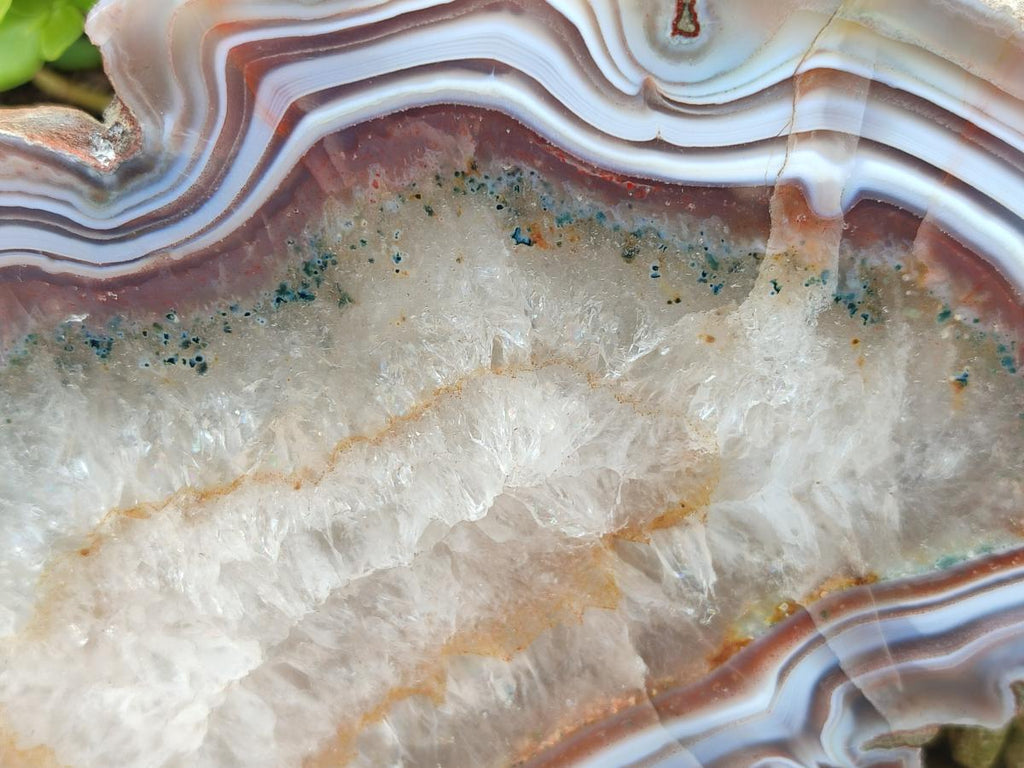 Polished One Side Pair of Red Shashe River Agate Slices with Matching Concentric Ring Patterns x 1 From Shashe River, Zimbabwe